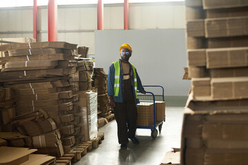 Aufkleber - Young warehouse worker in workwear pulling cart with packed boxes while moving between stacked cardboard sheets