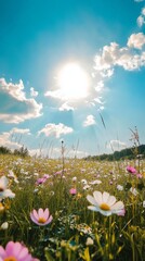 Wall Mural - colorful wildflowers blooming in a sunny meadow during springtime