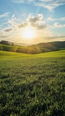 Wall Mural - Sunlight illuminates a vibrant green field during early evening in a tranquil outdoor setting