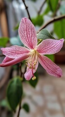 Wall Mural - Beautiful pink flower in close-up view showcasing delicate petals and vibrant details