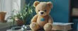 © Coosh448 - Cute teddy bear with stethoscope and book in cozy room setting