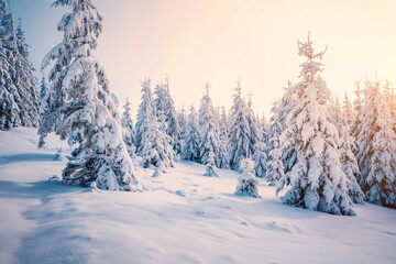 Aufkleber - Incredible winter landscape with lots of snow on fir trees. Photo wallpaper. Happy new year greeting card.