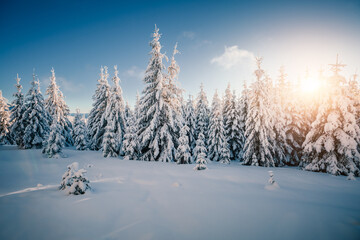 Aufkleber - Incredible winter landscape with lots of snow on fir trees. Photo wallpaper. Happy new year greeting card.
