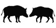 © Nabo  - Beautiful perfect Two Wild Boars Silhouettes with white background
