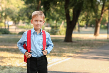 Wall Mural - Cute little boy with backpack outdoors