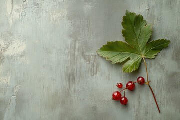 Wall Mural - isolated leaf of red currant berries