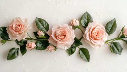 Wall Mural - Elegant pink roses and green leaves on textured white background