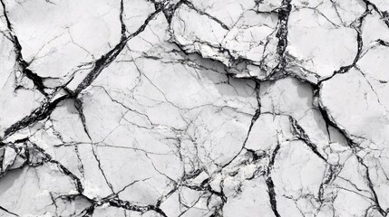 Poster - Black and white marble texture with dramatic veins creating natural pattern