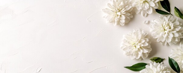 Aufkleber - White dahlia flowers lying on white textured background