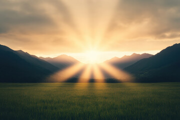 Wall Mural - The sun is shining brightly on a field of grass with mountains in the background