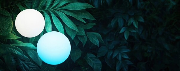 Poster - Glow forest idea. Two glowing orbs nestled among lush green leaves in a serene nature setting.