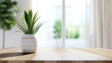 Canvas Print - modern indoor plant in decorative pot on wooden table, with soft natural light illuminating space, creating serene atmosphere