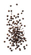 © Vector Nazmul - flying black peppercorn isolated on transparent white background, clipping path