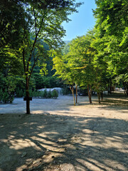 Canvas Print - campground scenery in the forest