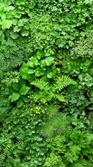 Canvas Print - Lush green foliage wall, vibrant texture, natural background, ideal for design