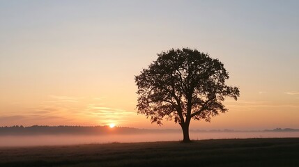 Poster - Majestic solitary tree silhouetted against a vibrant sunrise sky in a tranquil landscape : Generative AI
