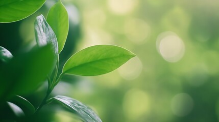 Poster - Fresh Green Leaves Blurring in Natural Light Showcasing Nature's Beauty : Generative AI