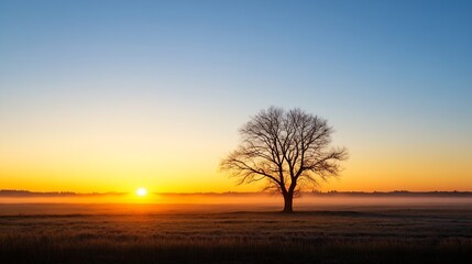 Poster - Stunning sunset casting a warm glow over a lone tree standing in a peaceful field with clear sky background : Generative AI