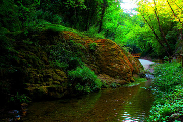 Wall Mural - Magical scenery from Sentiero delle Acque in Pieve Torina (MC), the balmy, lustrous and slightly rippling waters of the Sant'Angelo rivulet flowing between musky hard slopes and vegetation, the path