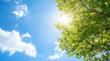 Aufkleber - A vibrant view of sunlight filtering through lush green leaves under a bright blue sky : Generative AI