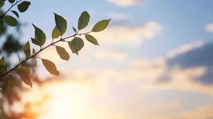 Poster - Fresh green leaves against a beautiful sunset sky showcasing the tranquility of nature in the evening : Generative AI