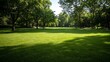 © Generative AI - Lush Green Park Under Bright Sunshine with Tall Trees and Vibrant Grass : Generative AI