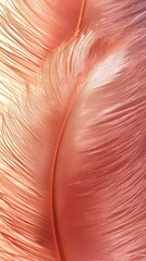 Wall Mural - Peach feathers close-up, soft light background; design, texture