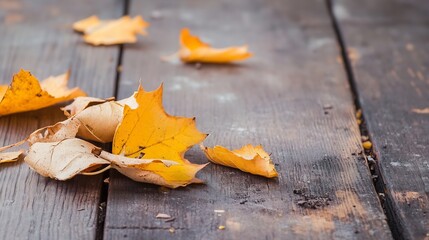 Aufkleber - Fallen yellow leaves scattered on a rustic wooden surface creating an autumn ambiance : Generative AI