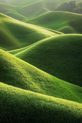 Wall Mural - Green hills, grassy field, soft lighting, minimalism