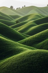 Wall Mural - Green hills, grassy field, soft lighting, minimalism