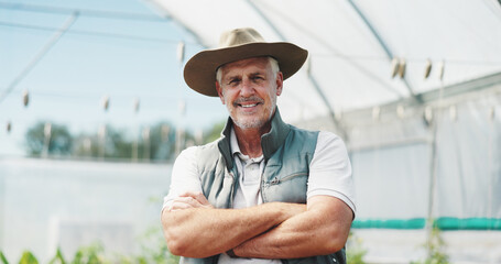 Wall Mural - Mature man, smile and arms crossed in greenhouse, farming and growth with sustainability in summer. Person, happy and portrait with food production, agriculture and nursery for vegetables in Spain