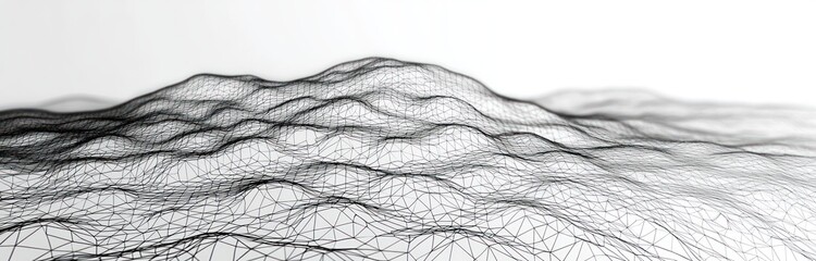 Poster - futuristic hexagonal mesh landscape abstract black and white digital terrain 3d rendering