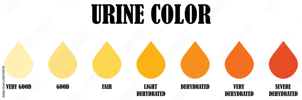 Image vectorielle Stock Urine color chart icon collection set. Urine ...
