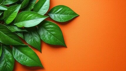 Wall Mural - Green leaves on orange background; nature, spring, growth, design, copy space