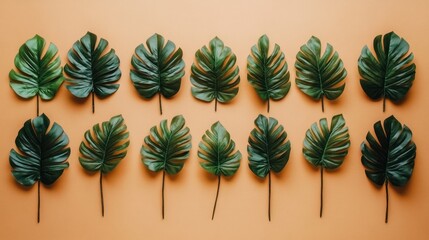 Poster - Fifteen monstera leaves arranged symmetrically on a peach colored background