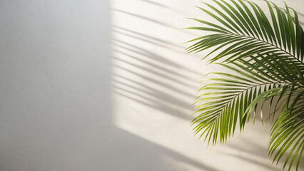 Wall Mural - palm and wall. background with blurred foliage shadow on white wall