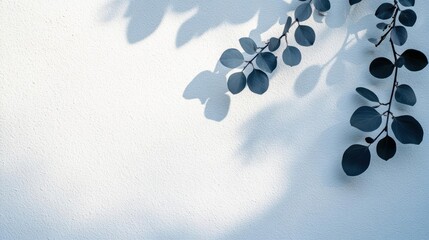 Poster - Green plant with leaves positioned against a clean white wall background for minimalistic decor