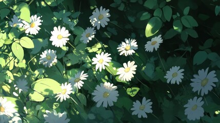 Poster - Animated field of daisies basks in the sunlight s embrace