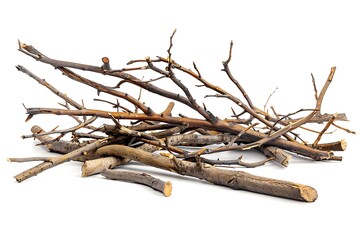dry branches isolated on white background