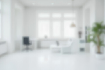 Wall Mural - empty white business office with blurred background