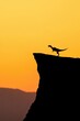 © CHA - Silhouette of a dinosaur roaring over the edge of a cliff
