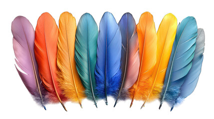 Wall Mural - colorful feathers isolated on white background