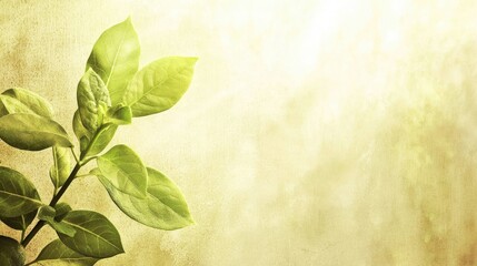 Wall Mural - Fresh spring leaves on textured background, nature growth, eco design