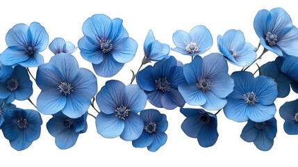 Wall Mural - flying blue flowers isolated on white background