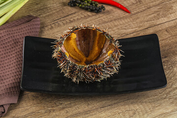 Poster - Delicous luxury raw sea urchin