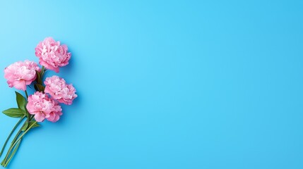 Canvas Print - A bunch of pink flowers on a blue background