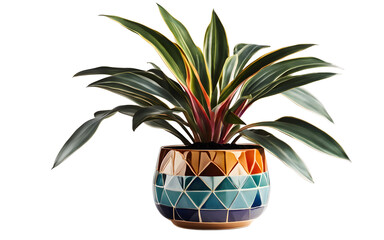 Poster - A colorful desk plant in a ceramic pot with geometric patterns, isolated on a empty plain background