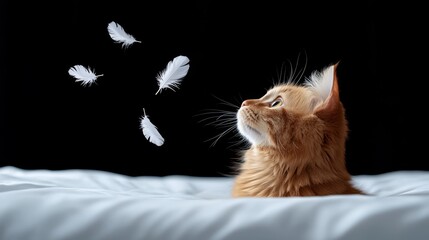 Wall Mural - A cat looking up at white feathers flying in the air