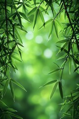 Wall Mural - Nature of green bamboo leaves in the garden during summer