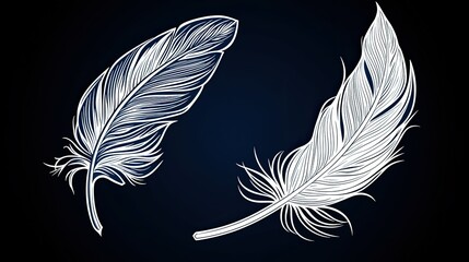 Poster - Two White Feathers on a Dark Background